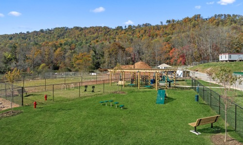 Dog Runs at The Ashe 