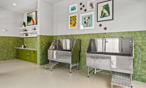 Pawsh Perks   Cover Image