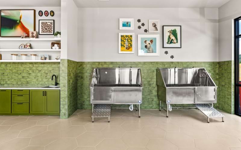 AMENITIES